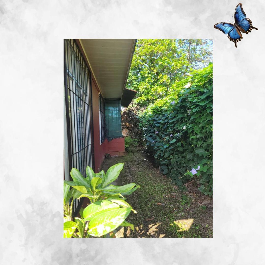 הוילה La Fortuna Morpho Casa Vacacional מראה חיצוני תמונה